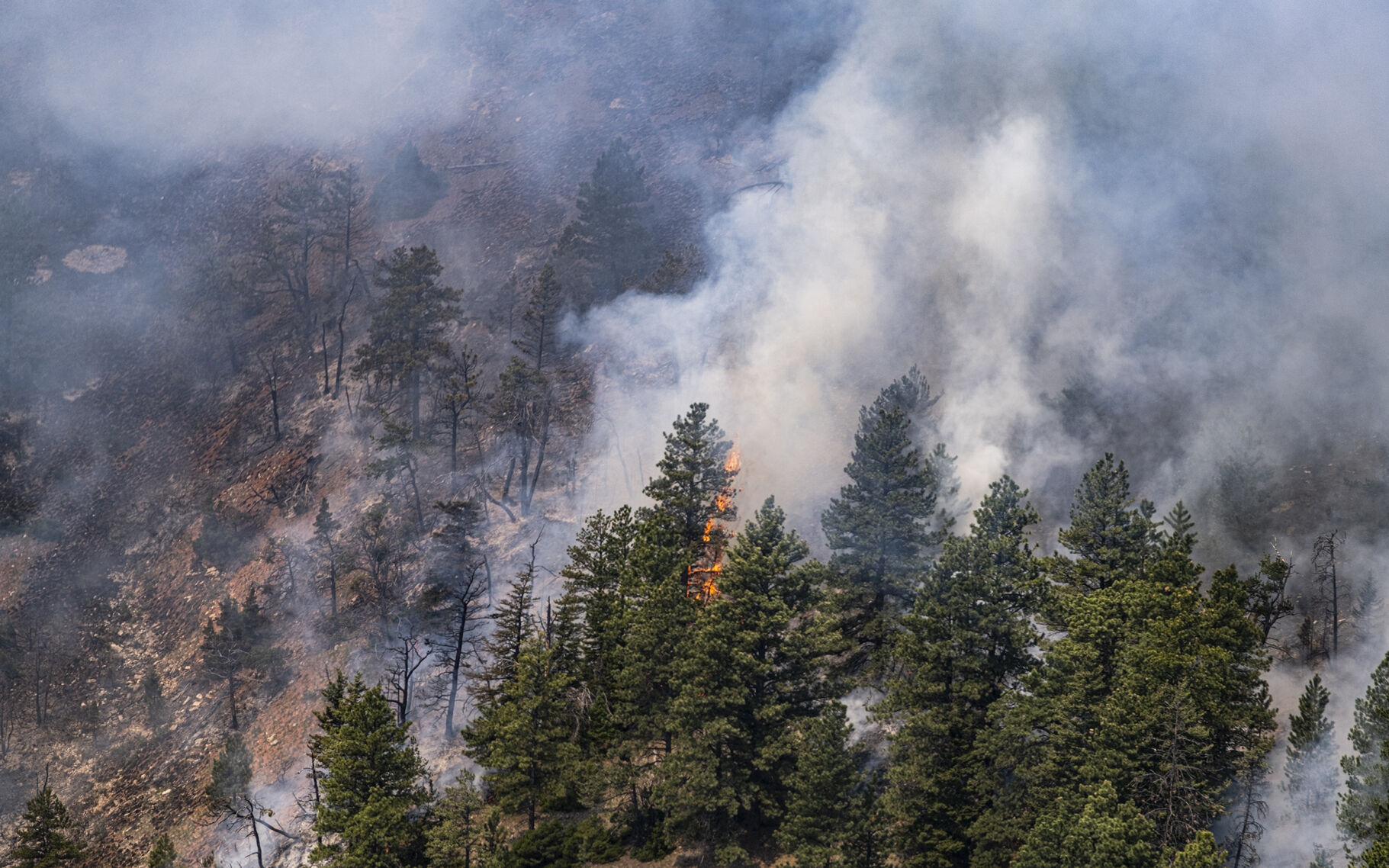Crooked Creek Fire 2021